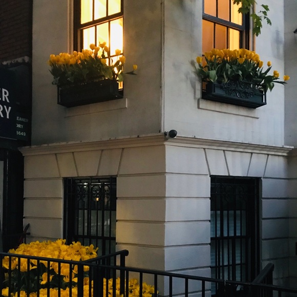 Meet your Posher, Ava - Picture 5 of 8